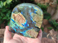 Polished Labradorite Standing Free Forms x 2 From Tulear, Madagascar - Toprock Gemstones and Minerals 