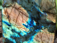 Polished Labradorite Standing Free Forms x 2 From Tulear, Madagascar - Toprock Gemstones and Minerals 