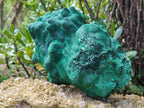 Natural Silky Malachite Stalactite Specimen With Chrysocolla x 1 From Kasompe, Congo - Toprock Gemstones and Minerals 
