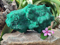 Natural Silky Malachite Stalactite Specimen With Chrysocolla x 1 From Kasompe, Congo - Toprock Gemstones and Minerals 
