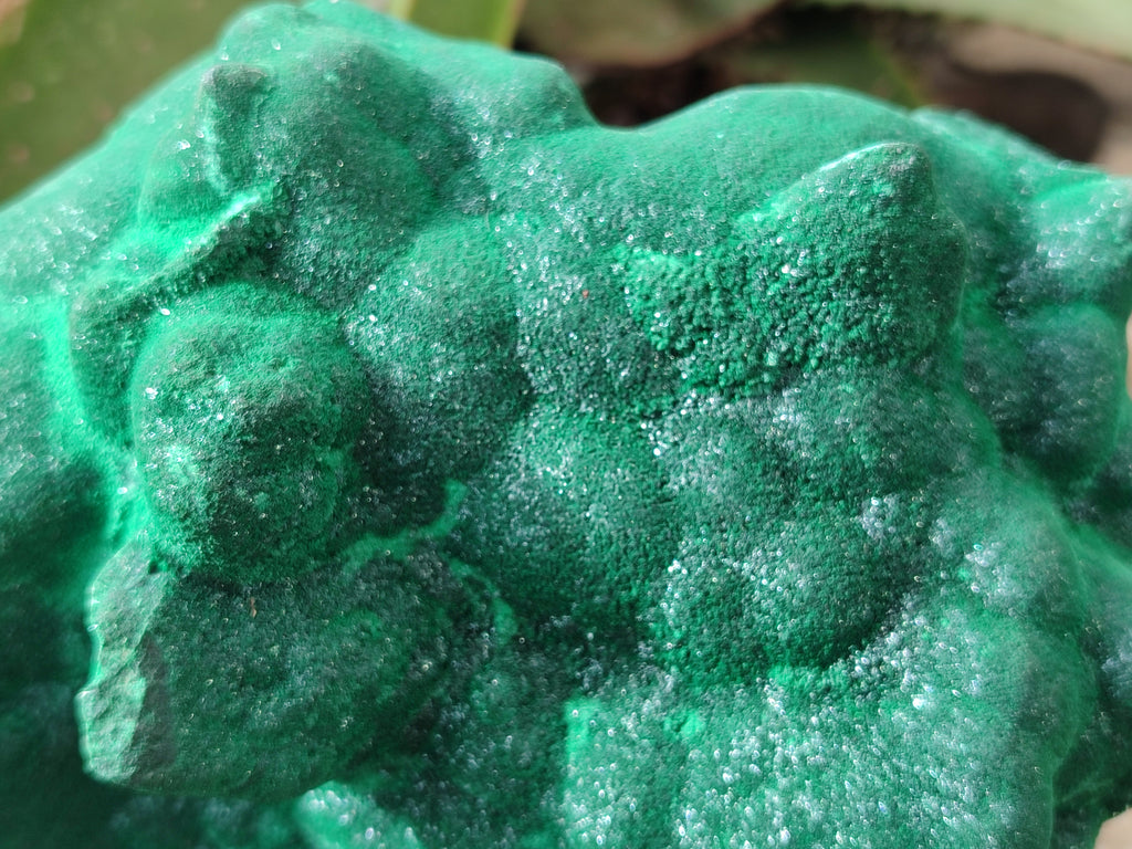 Natural Silky Malachite Stalactite Specimen With Chrysocolla x 1 From Kasompe, Congo - Toprock Gemstones and Minerals 