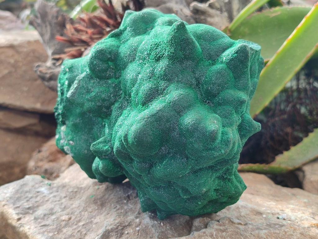 Natural Silky Malachite Stalactite Specimen With Chrysocolla x 1 From Kasompe, Congo - Toprock Gemstones and Minerals 