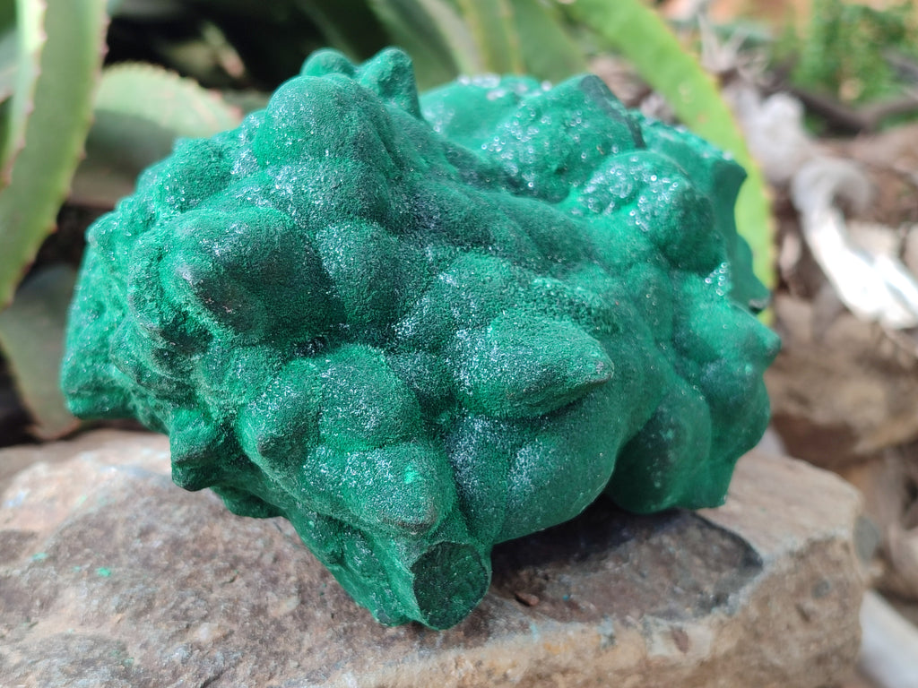 Natural Silky Malachite Stalactite Specimen With Chrysocolla x 1 From Kasompe, Congo - Toprock Gemstones and Minerals 
