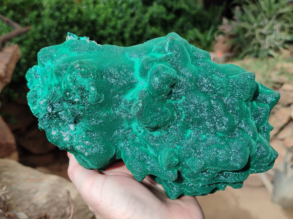 Natural Silky Malachite Stalactite Specimen With Chrysocolla x 1 From Kasompe, Congo - Toprock Gemstones and Minerals 