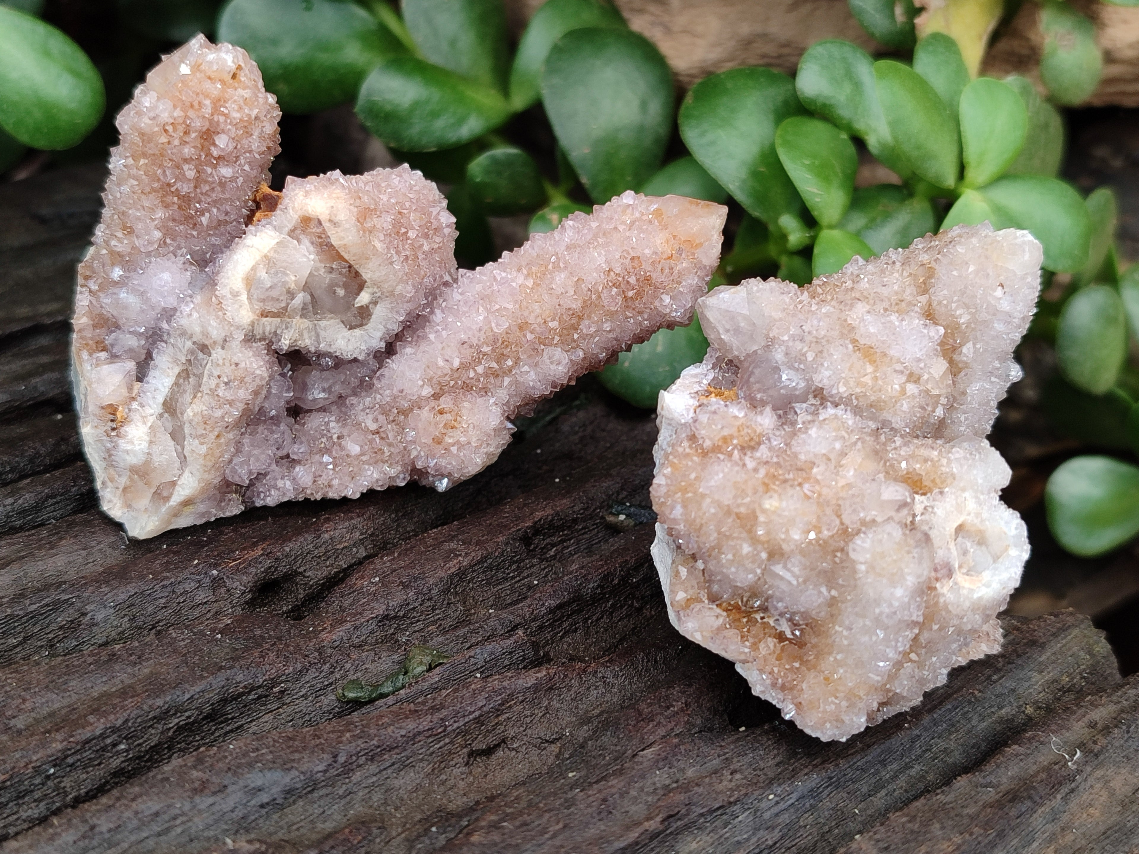 Natural Spirit Quartz Clusters x 12 From Boekenhouthoek, South Africa - Toprock Gemstones and Minerals 
