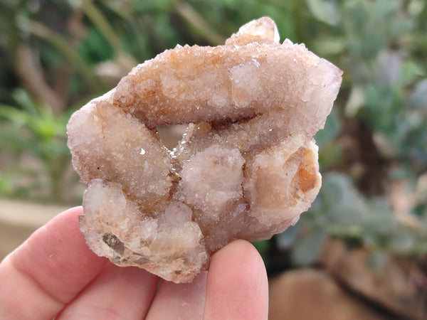 Natural Spirit Quartz Clusters x 12 From Boekenhouthoek, South Africa - Toprock Gemstones and Minerals 