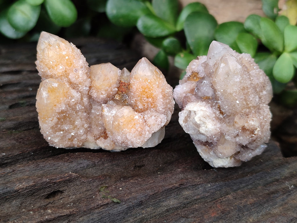 Natural Spirit Quartz Clusters x 12 From Boekenhouthoek, South Africa - Toprock Gemstones and Minerals 