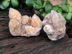 Natural Spirit Quartz Clusters x 12 From Boekenhouthoek, South Africa - Toprock Gemstones and Minerals 
