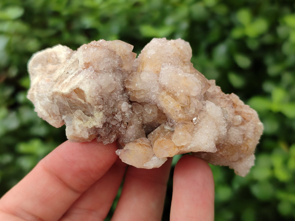 Natural Spirit Quartz Clusters x 12 From Boekenhouthoek, South Africa - Toprock Gemstones and Minerals 