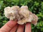 Natural Spirit Quartz Clusters x 12 From Boekenhouthoek, South Africa - Toprock Gemstones and Minerals 