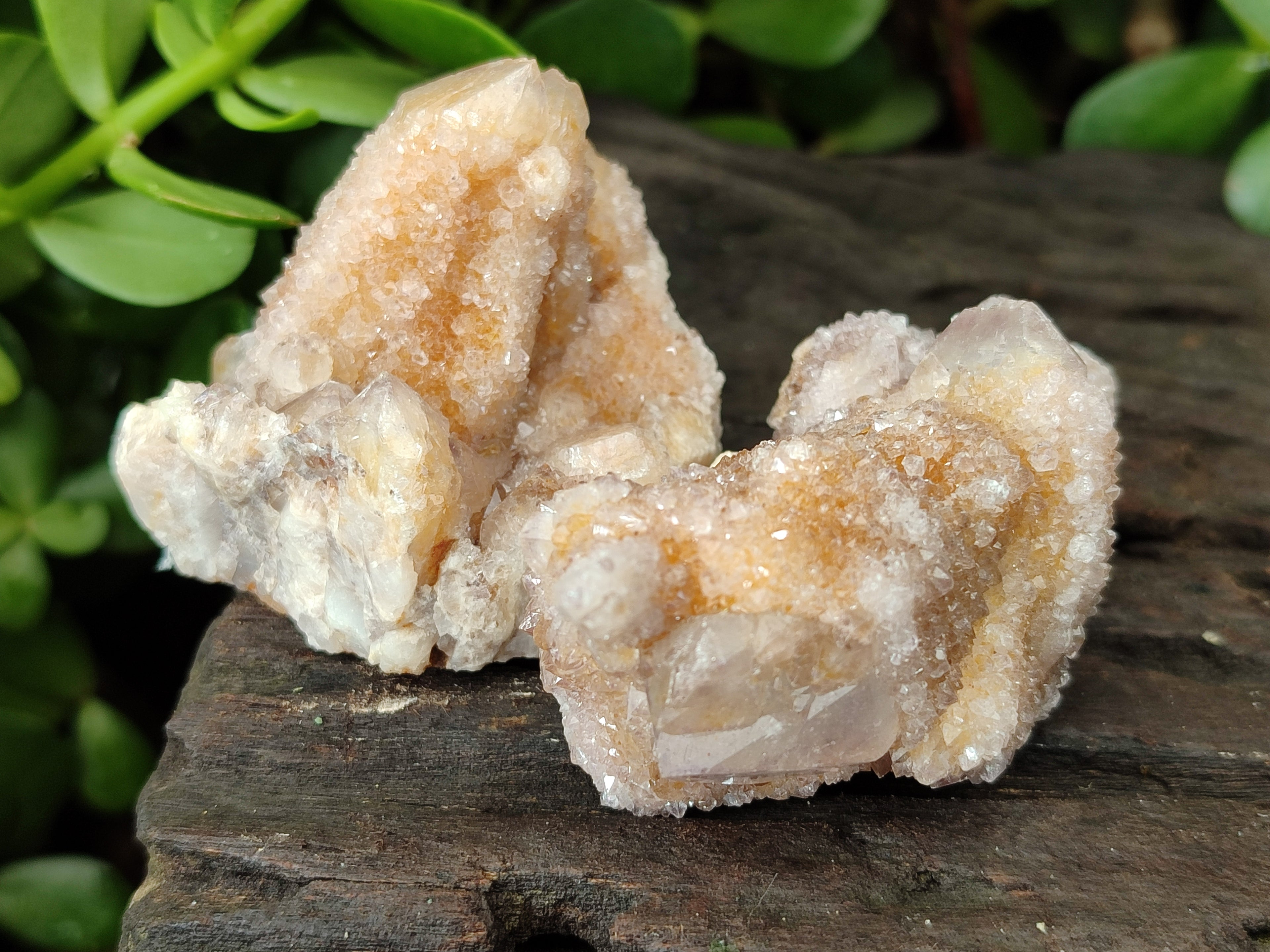 Natural Spirit Quartz Clusters x 12 From Boekenhouthoek, South Africa - Toprock Gemstones and Minerals 
