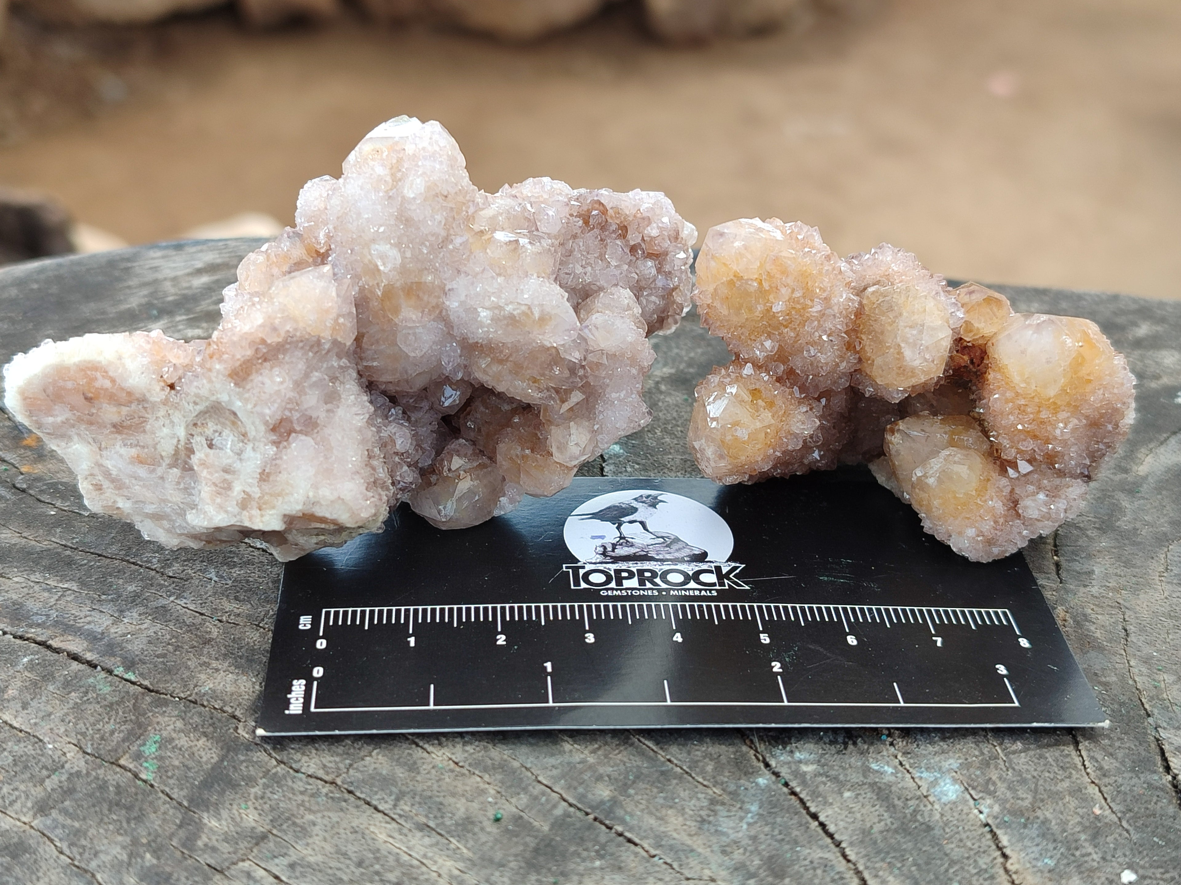 Natural Spirit Quartz Clusters x 12 From Boekenhouthoek, South Africa - Toprock Gemstones and Minerals 