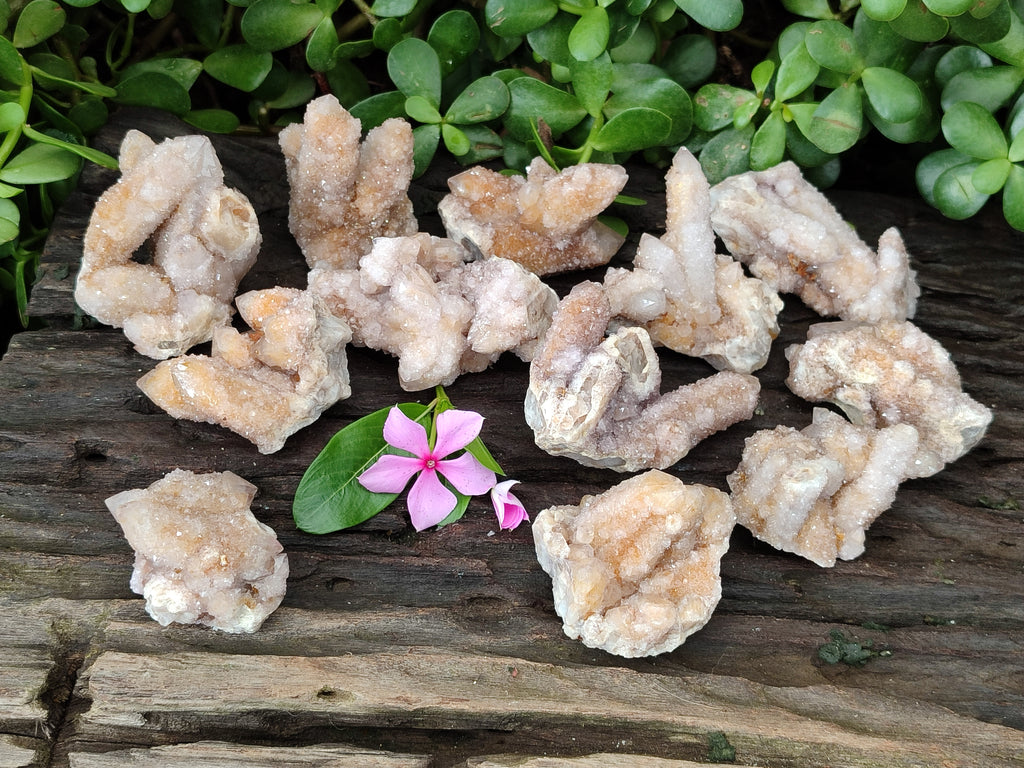 Natural Spirit Quartz Clusters x 12 From Boekenhouthoek, South Africa - Toprock Gemstones and Minerals 