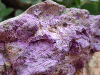 Natural Stichtite Cobbed Specimens x 4 From Barberton, South Africa - Toprock Gemstones and Minerals 