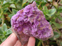 Natural Stichtite Cobbed Specimens x 4 From Barberton, South Africa - Toprock Gemstones and Minerals 