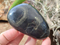 Polished Pharaoh Stone Free Forms x 12 Zimbabwe - Toprock Gemstones and Minerals 