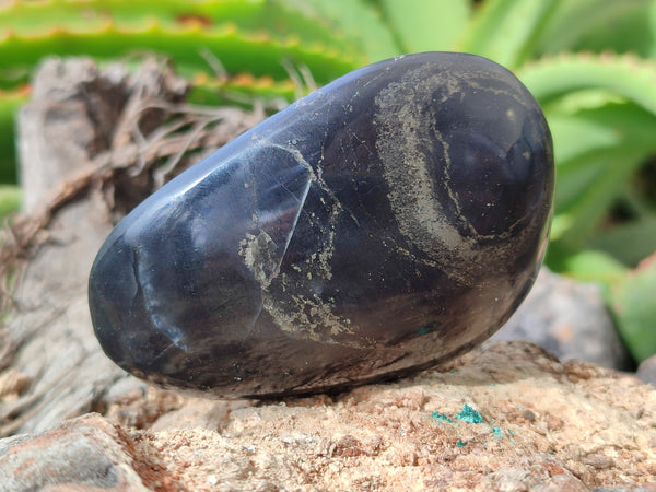 Polished Pharaoh Stone Free Forms x 12 Zimbabwe - Toprock Gemstones and Minerals 