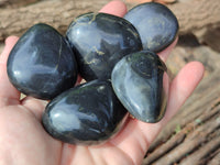 Polished Pharaoh Stone Free Forms x 12 Zimbabwe - Toprock Gemstones and Minerals 
