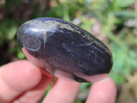 Polished Pharaoh Stone Free Forms x 12 Zimbabwe - Toprock Gemstones and Minerals 