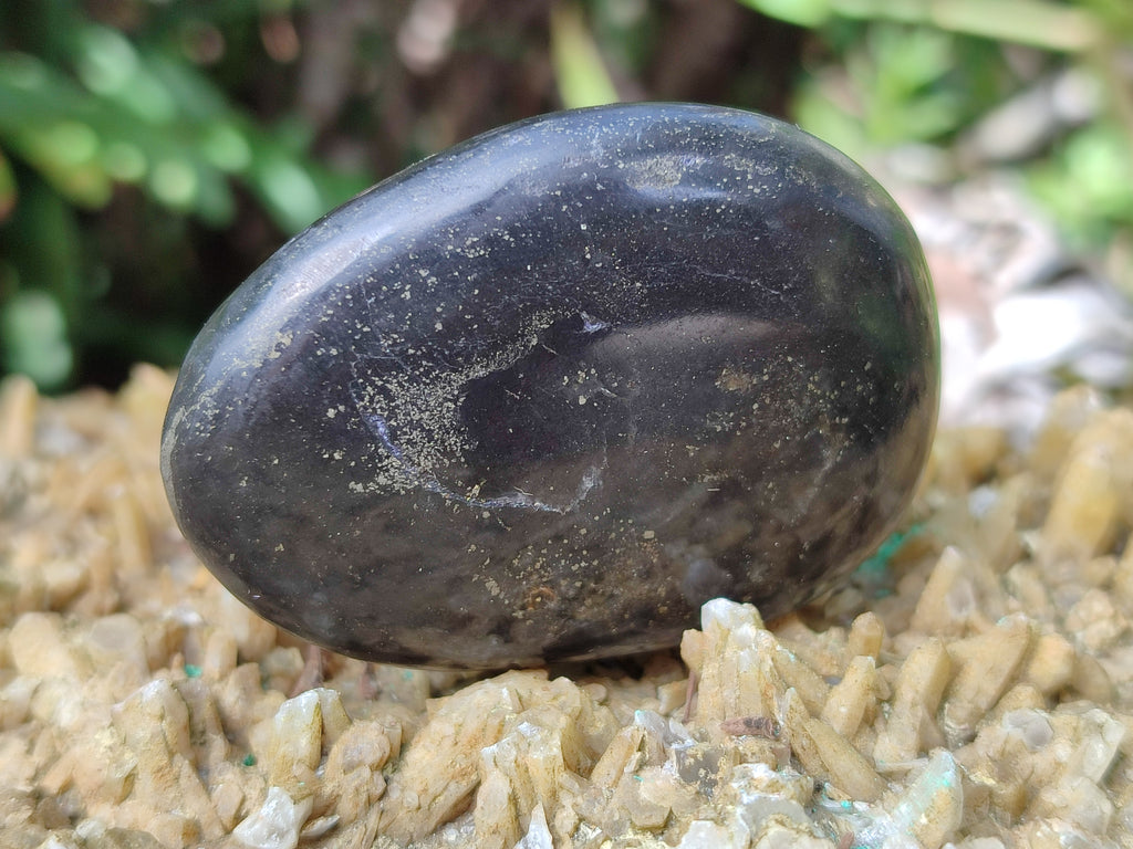 Polished Pharaoh Stone Free Forms x 12 Zimbabwe - Toprock Gemstones and Minerals 
