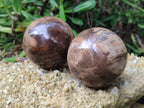 Polished Podocarpus Petrified Wood Spheres x 3 From Mahajanga, Madagascar - Toprock Gemstones and Minerals 