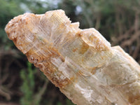 Natural Gypsum Specimens x 2 From Congo - Toprock Gemstones and Minerals 