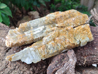 Natural Gypsum Specimens x 2 From Congo - Toprock Gemstones and Minerals 