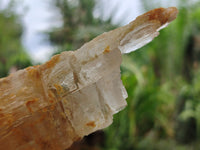Natural Gypsum Specimens x 2 From Congo - Toprock Gemstones and Minerals 