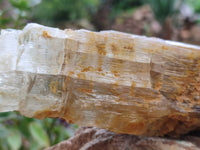 Natural Gypsum Specimens x 2 From Congo - Toprock Gemstones and Minerals 