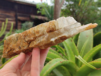 Natural Gypsum Specimens x 2 From Congo - Toprock Gemstones and Minerals 
