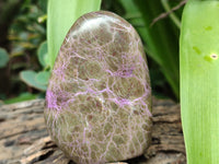 Polished Stichtite Standing Free Forms x 4 From Barberton, South Africa - Toprock Gemstones and Minerals 