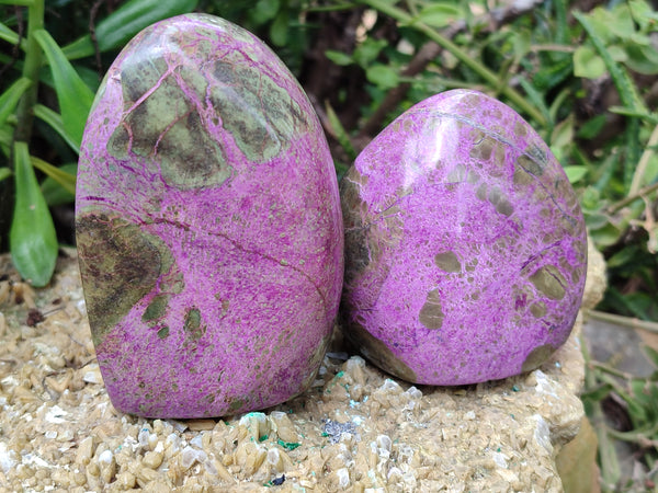 Polished Stichtite Standing Free Forms x 4 From Barberton, South Africa - Toprock Gemstones and Minerals 