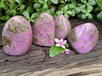 Polished Stichtite Standing Free Forms x 4 From Barberton, South Africa - Toprock Gemstones and Minerals 