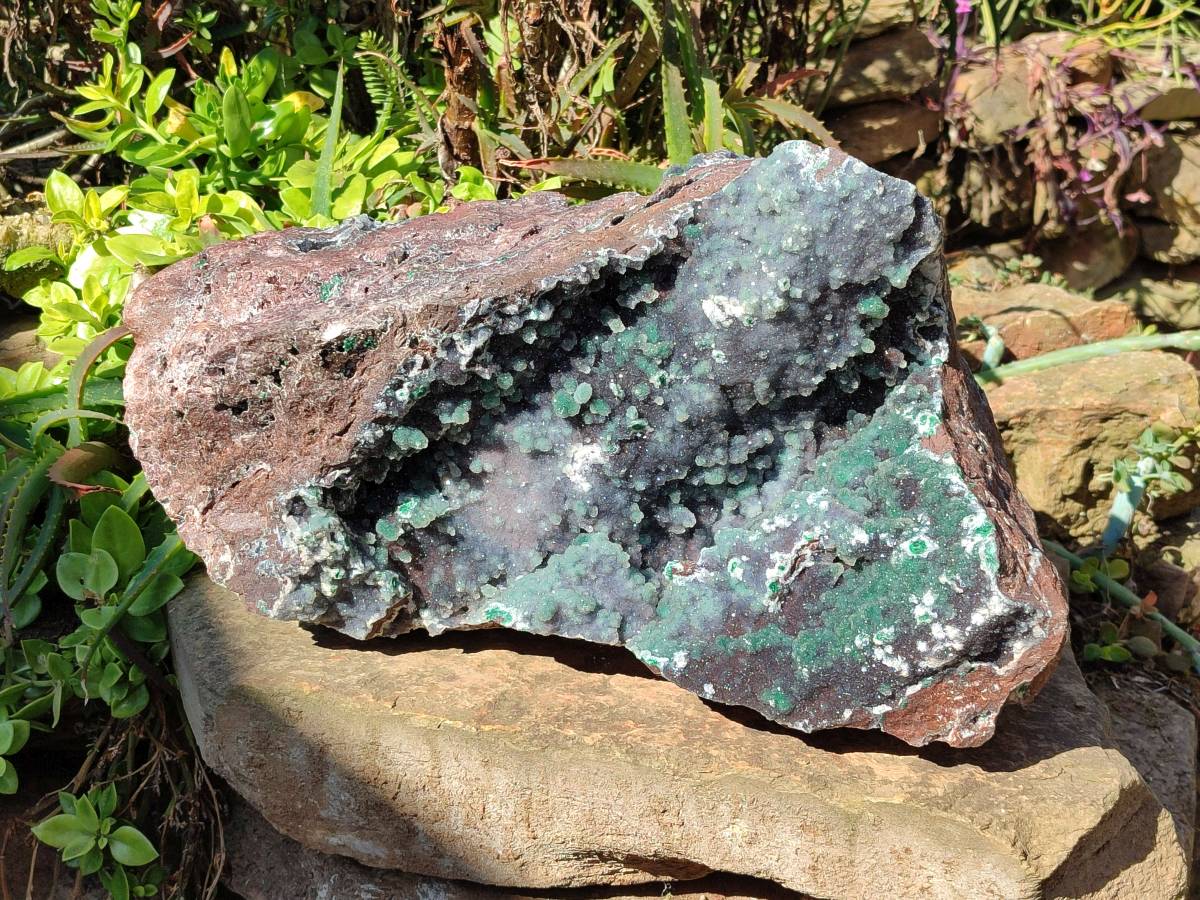 Natural Ball Malachite On Quartz Matrix Specimen x 1 From Kambove, Congo - Toprock Gemstones and Minerals 