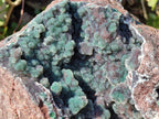 Natural Ball Malachite On Quartz Matrix Specimen x 1 From Kambove, Congo - Toprock Gemstones and Minerals 