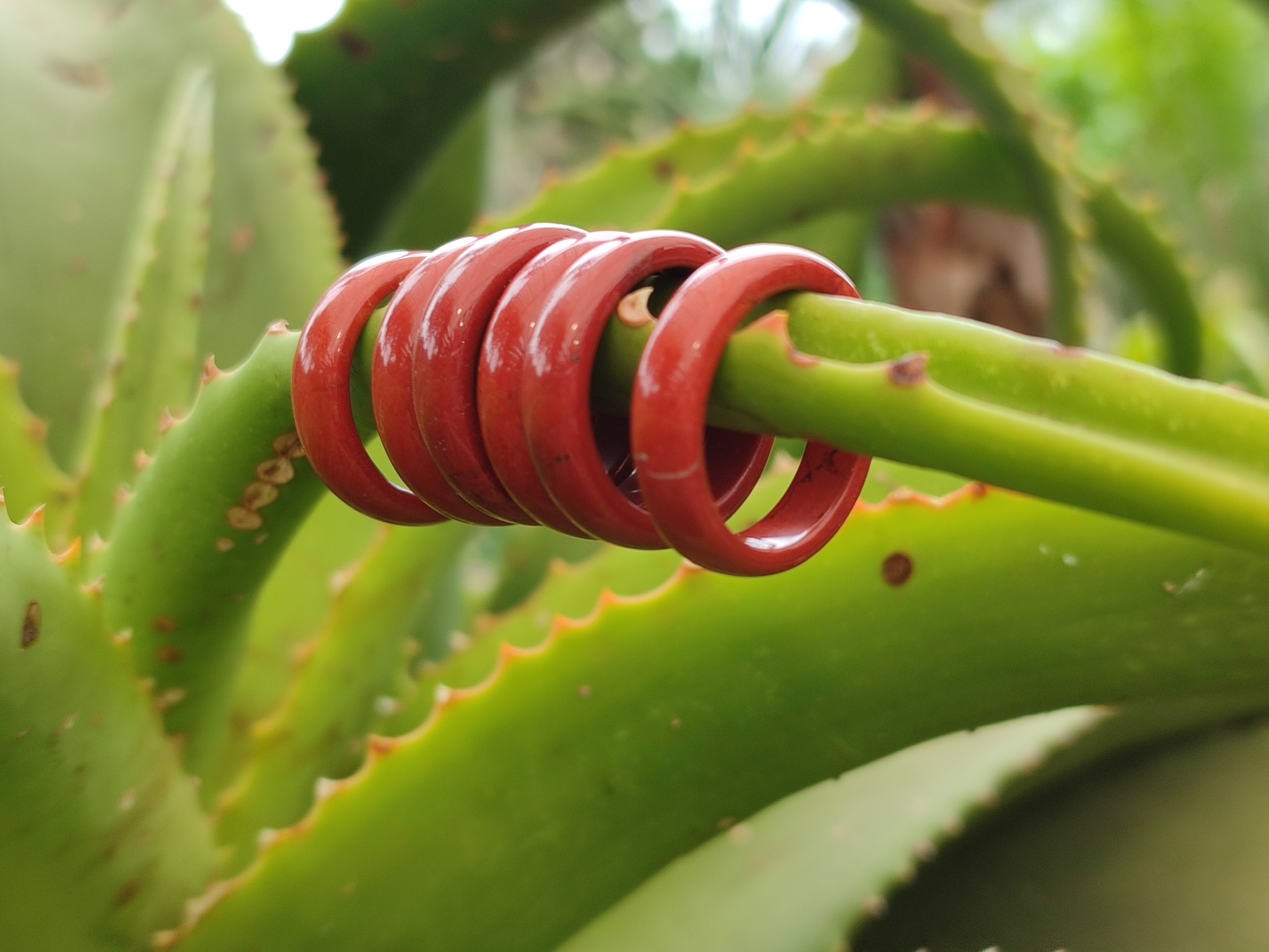 Hand Made Red Jasper Rings - sold per item - From South Africa - Toprock Gemstones and Minerals 