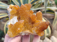 Natural Golden Solar Spirit Quartz Clusters x 3 From Boekenhouthoek, South Africa - Toprock Gemstones and Minerals 