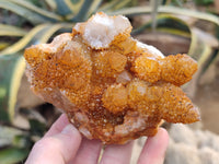 Natural Golden Solar Spirit Quartz Clusters x 3 From Boekenhouthoek, South Africa - Toprock Gemstones and Minerals 