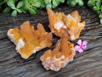 Natural Golden Solar Spirit Quartz Clusters x 3 From Boekenhouthoek, South Africa - Toprock Gemstones and Minerals 