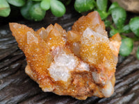 Natural Golden Solar Spirit Quartz Clusters x 3 From Boekenhouthoek, South Africa - Toprock Gemstones and Minerals 