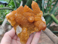 Natural Golden Solar Spirit Quartz Clusters x 3 From Boekenhouthoek, South Africa - Toprock Gemstones and Minerals 
