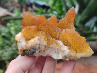 Natural Golden Solar Spirit Quartz Clusters x 3 From Boekenhouthoek, South Africa - Toprock Gemstones and Minerals 