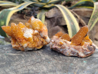 Natural Golden Solar Spirit Quartz Clusters x 3 From Boekenhouthoek, South Africa - Toprock Gemstones and Minerals 