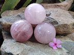 Polished Rose Quartz Spheres x 3 From Ambatondrazaka, Madagascar - Toprock Gemstones and Minerals 