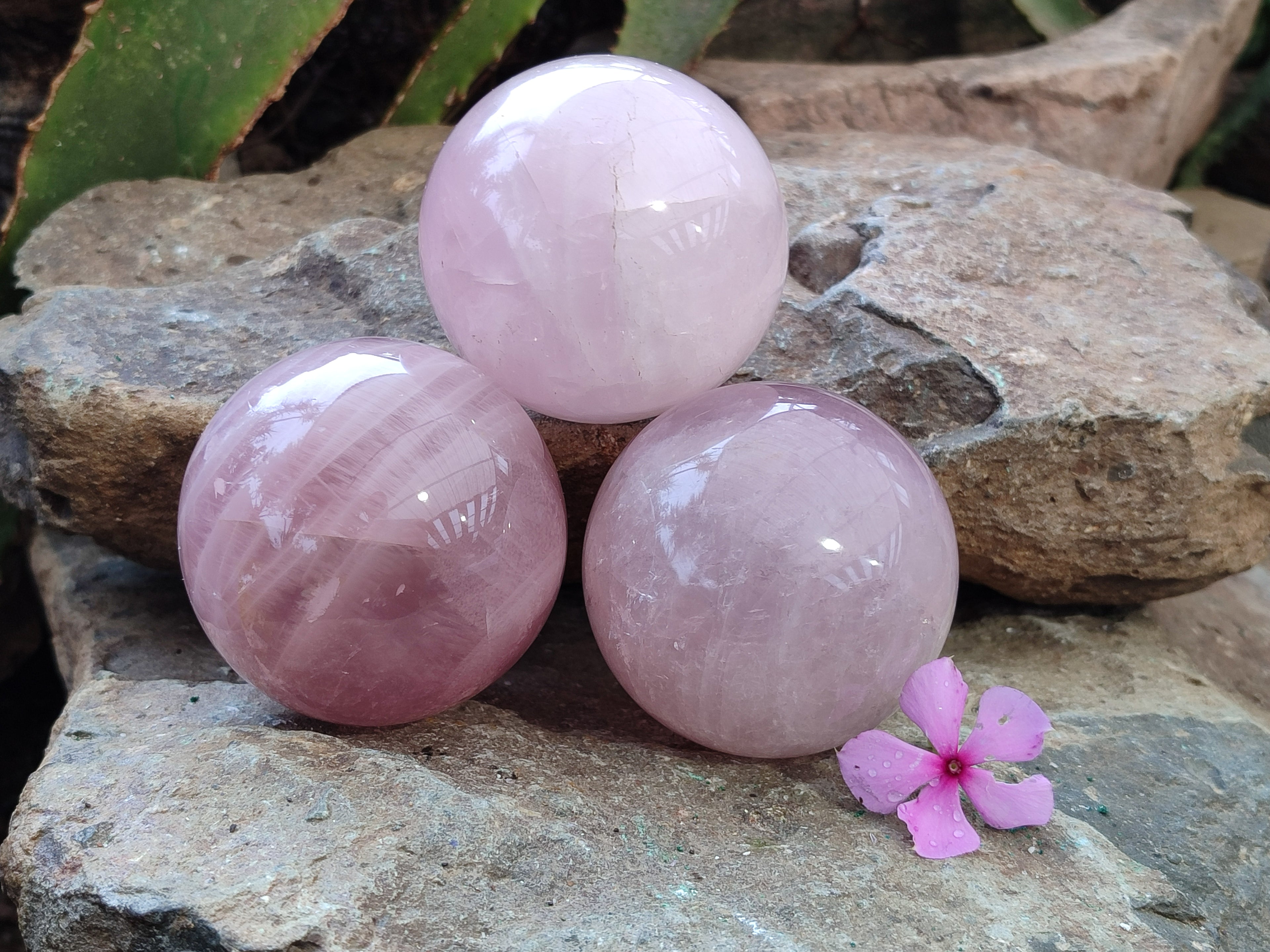 Polished Rose Quartz Spheres x 3 From Ambatondrazaka, Madagascar - Toprock Gemstones and Minerals 