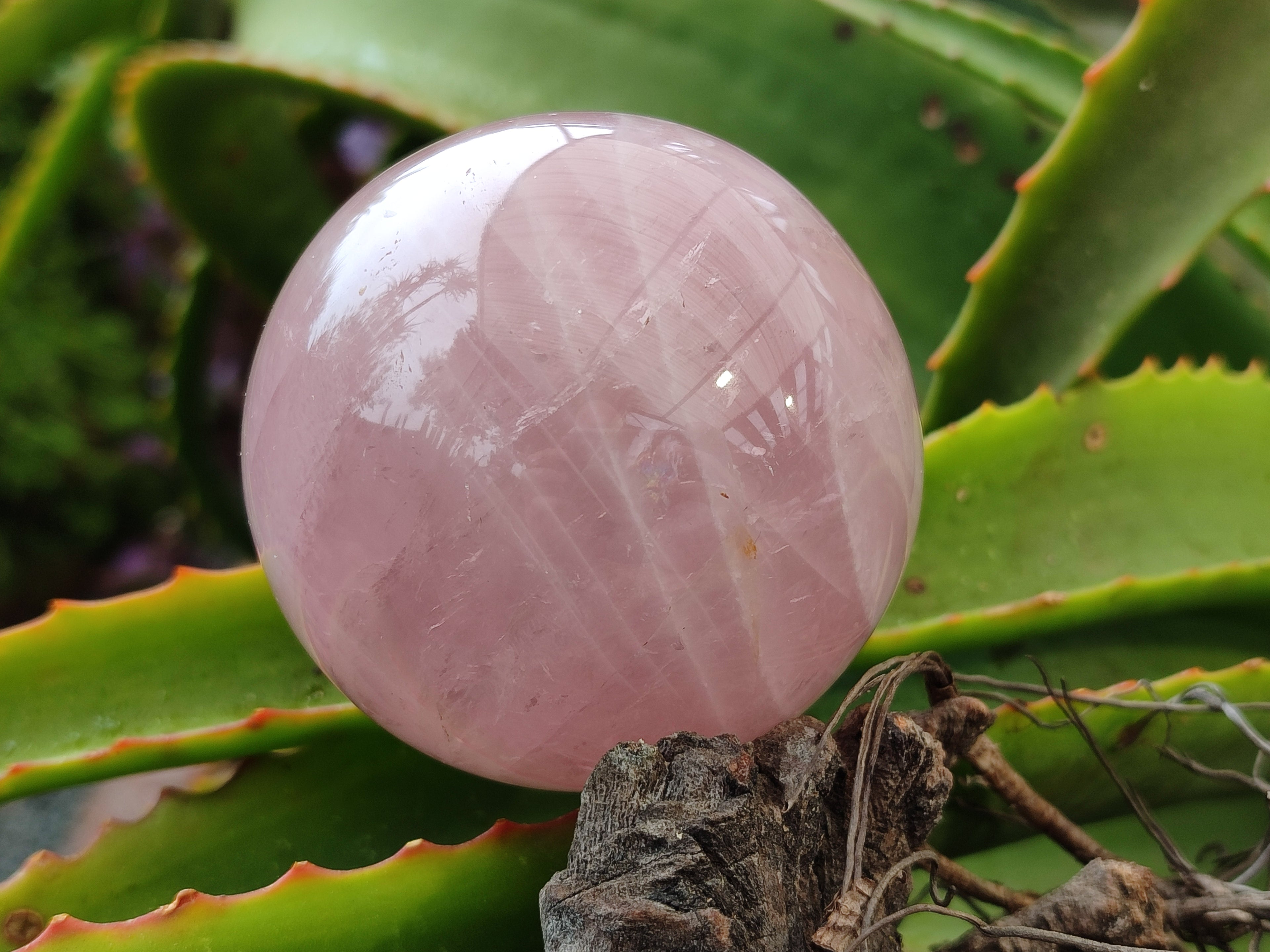Polished Rose Quartz Spheres x 3 From Ambatondrazaka, Madagascar - Toprock Gemstones and Minerals 