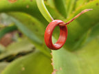 Hand Made 16mm Red Jasper Rings - sold per item - From South Africa - Toprock Gemstones and Minerals 