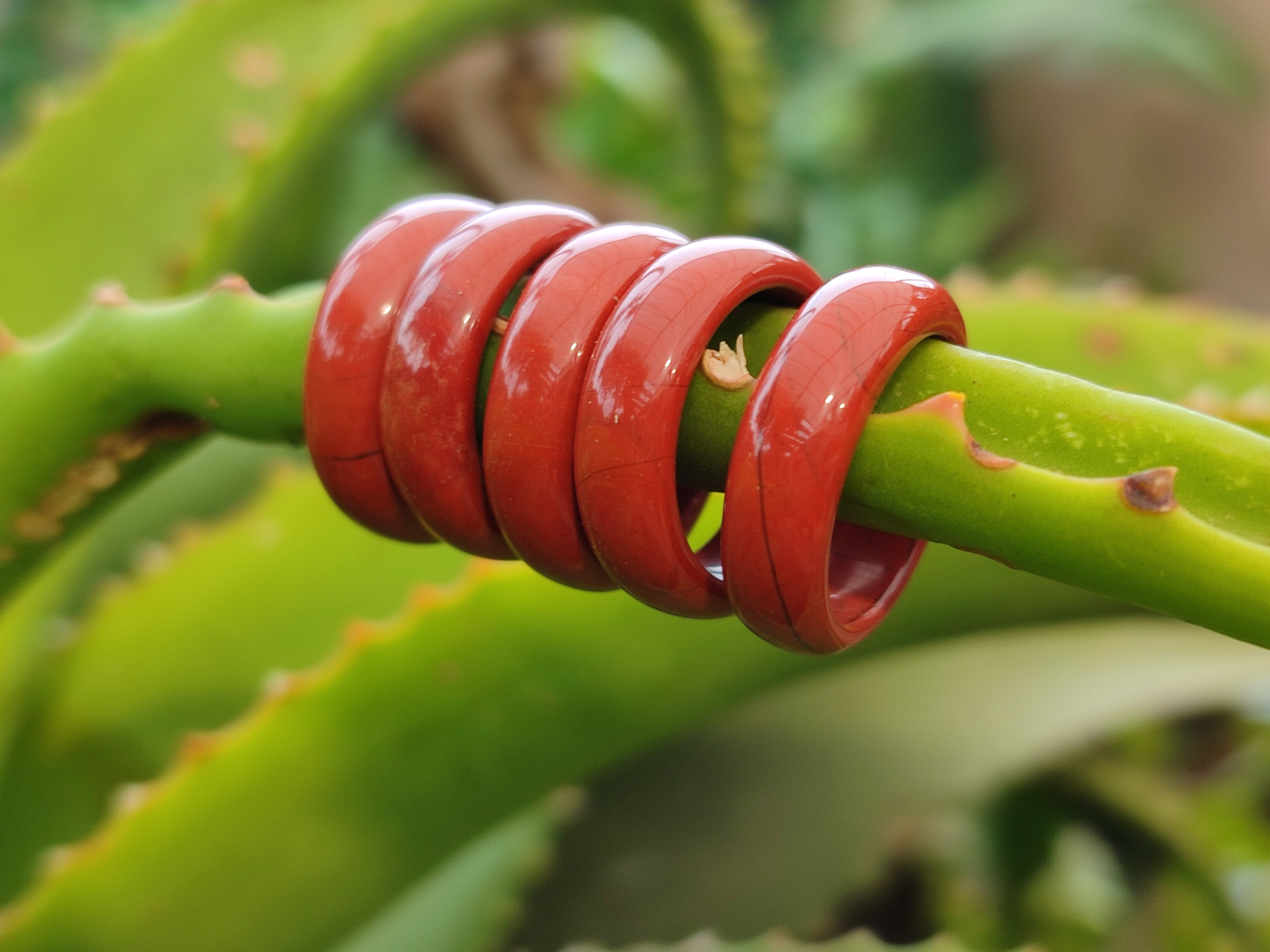 Hand Made 16mm Red Jasper Rings - sold per item - From South Africa - Toprock Gemstones and Minerals 