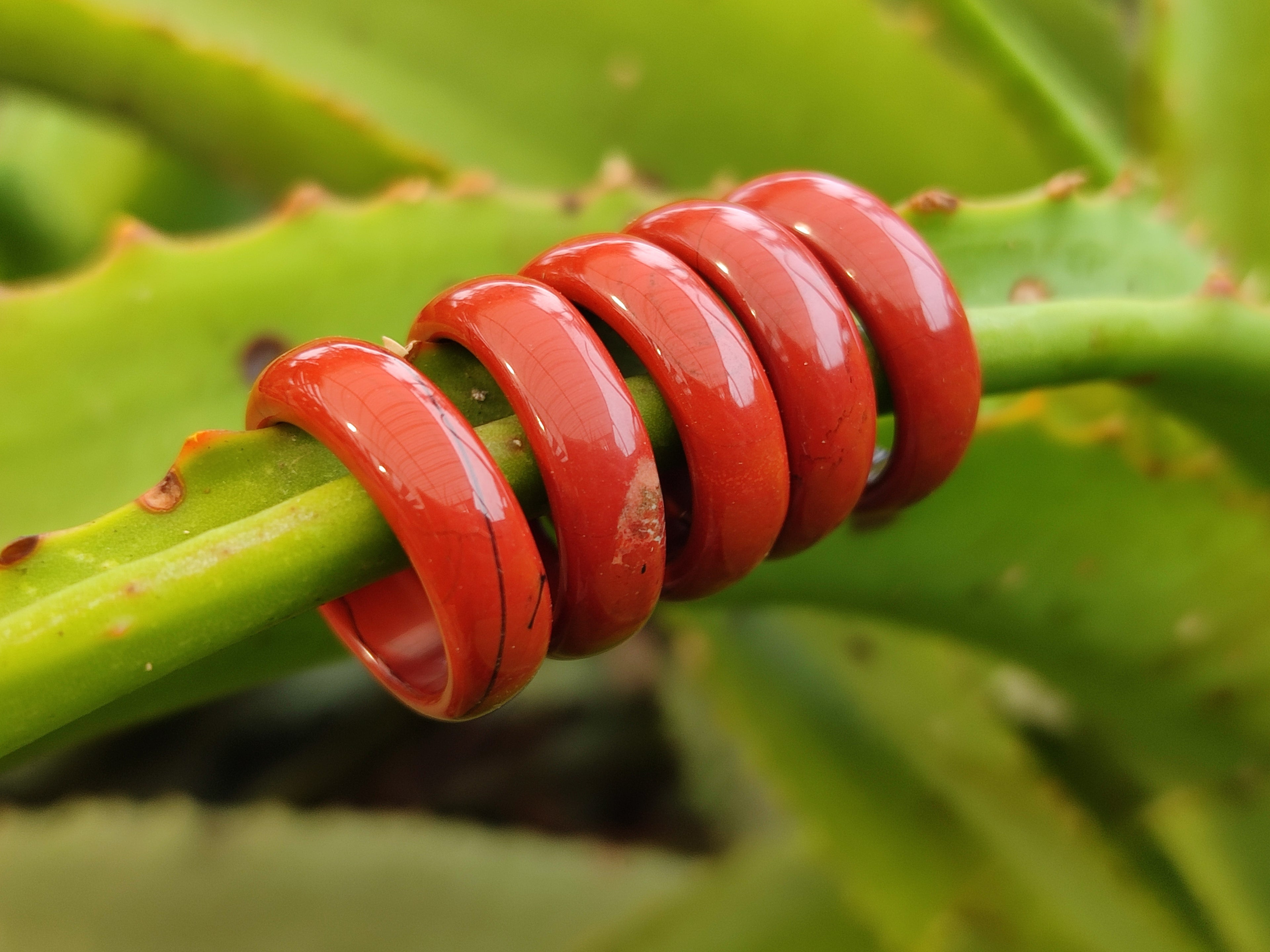 Hand Made 16mm Red Jasper Rings - sold per item - From South Africa - Toprock Gemstones and Minerals 