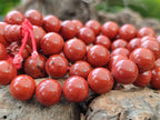 Polished Red Jasper Beaded Stretch Buddha Bracelet - Sold Per Item - From South Africa - Toprock Gemstones and Minerals 